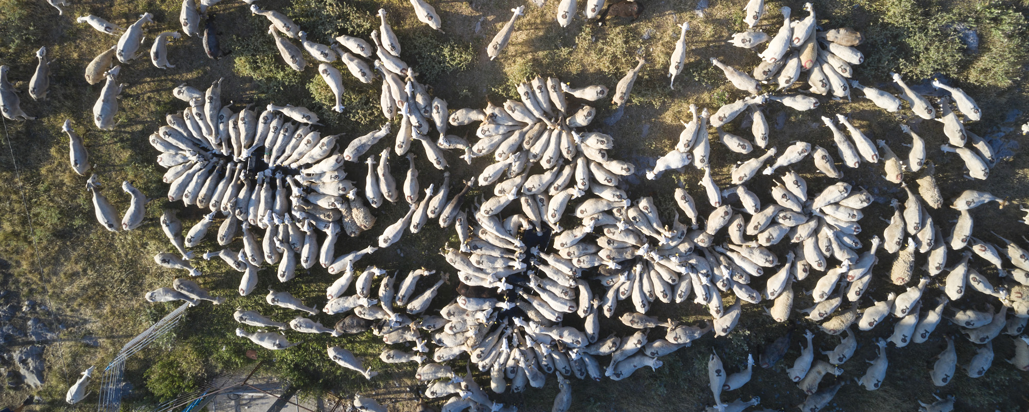 Actuem en set hàbitats d’interès comunitari per conservar la biodiversitat