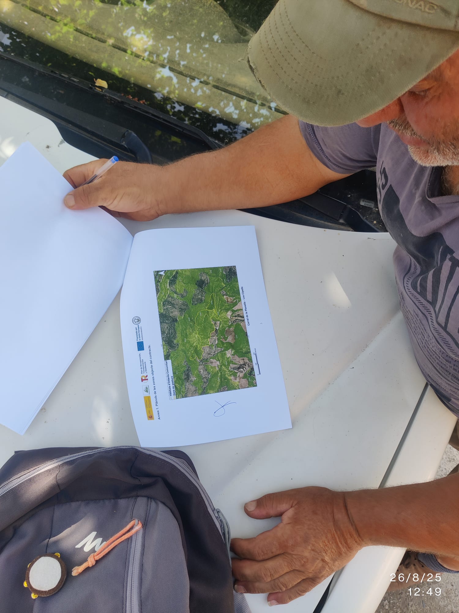 Cinc plans de maneig per a una ramaderia extensiva més eficient i sostenible