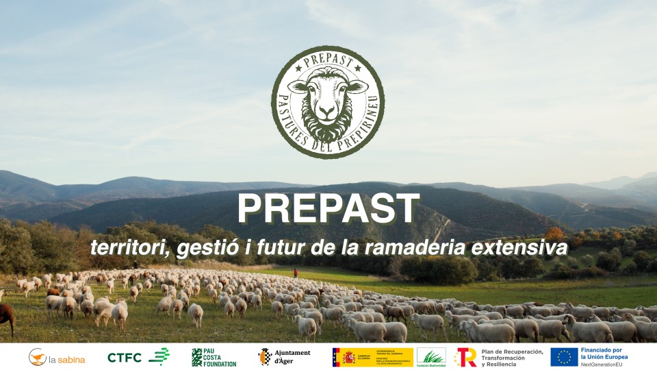 Un vídeo per entendre l’essència del projecte PREPAST